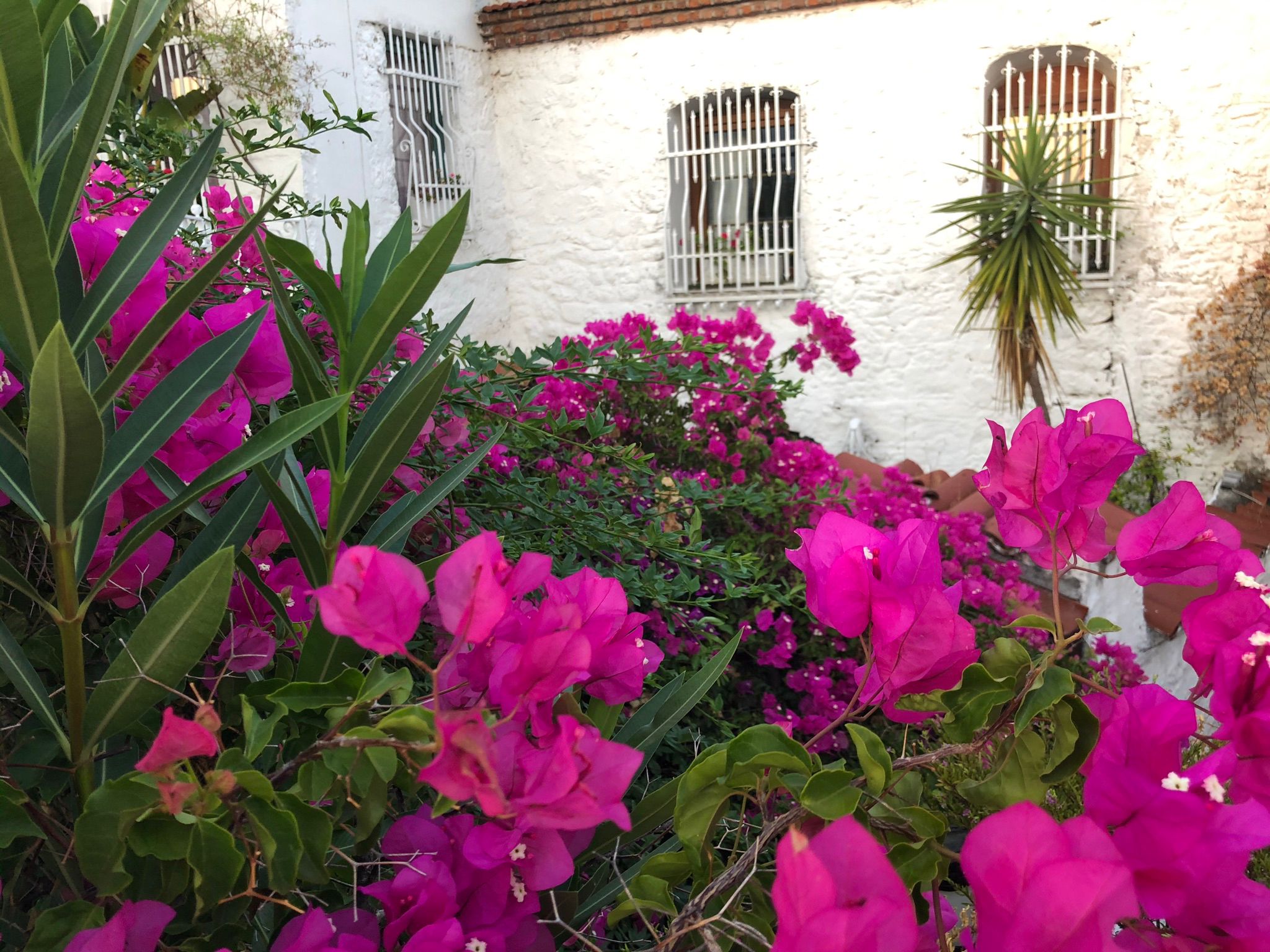 Green House 5