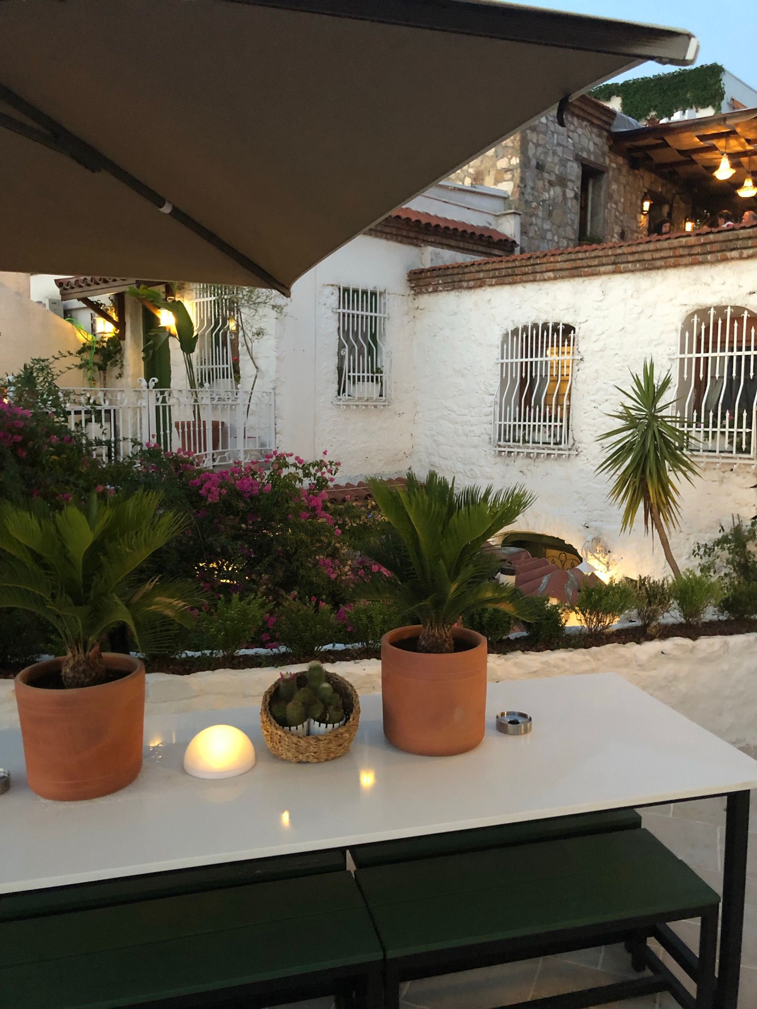 Green House 12